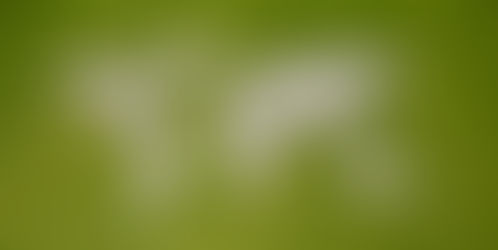 美国共同财产州的范围及特点