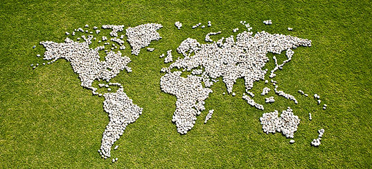 Map in Grass