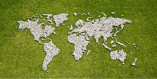 Map in Grass