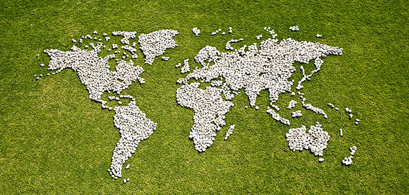 Map in Grass