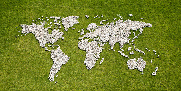 Map in Grass