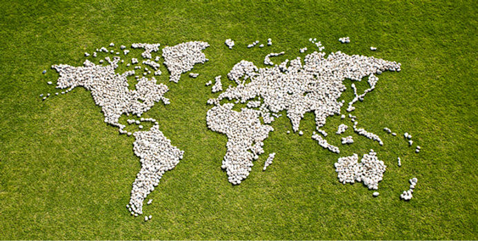 Map in Grass
