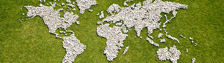 Map in Grass