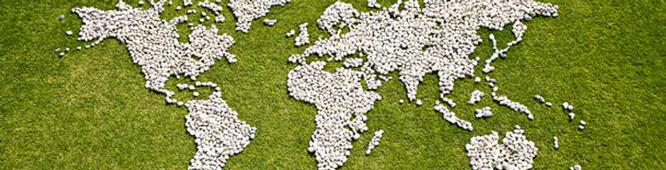 turquality destekleri