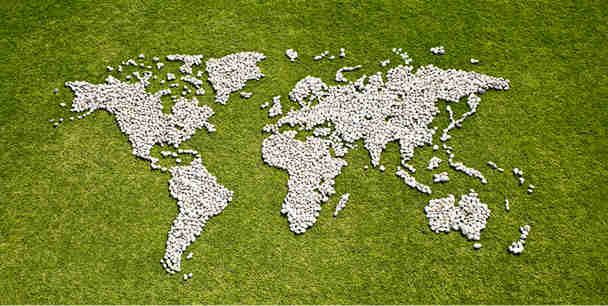 A world map in the grass.