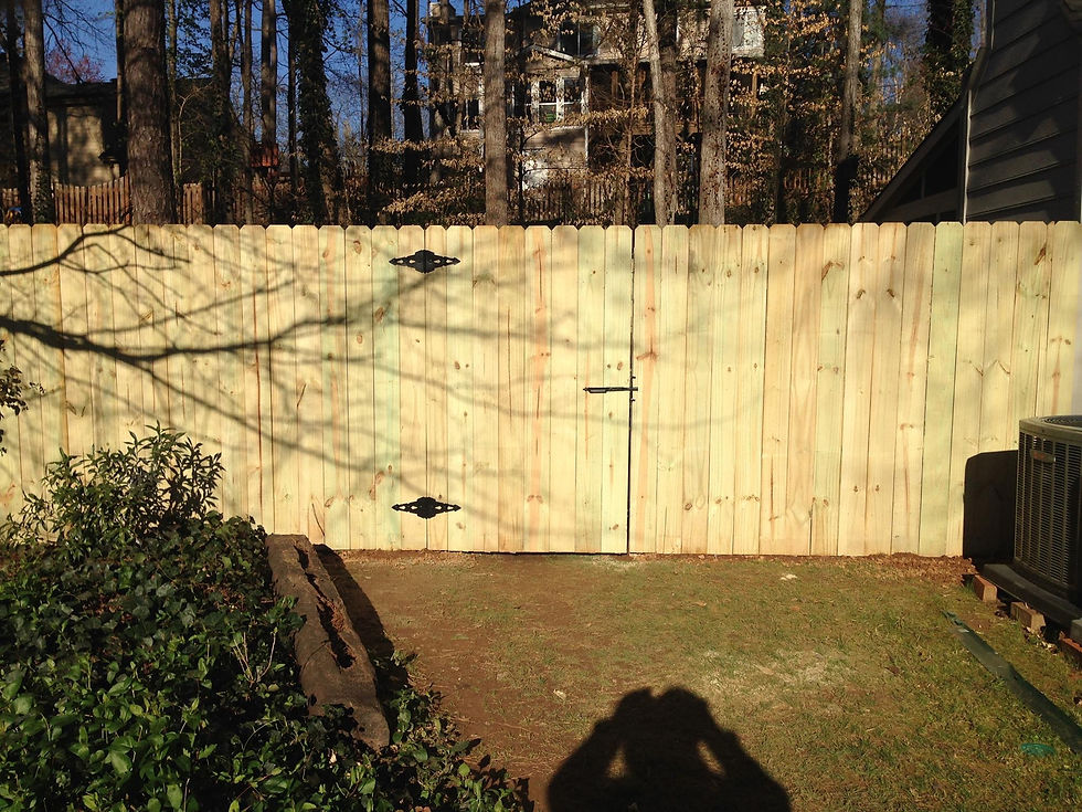 Privacy Fence