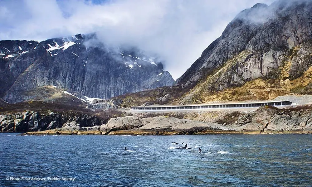 Wegen_snow_avalanche_protection_Lofoten_Derbigum_Nederland.webp