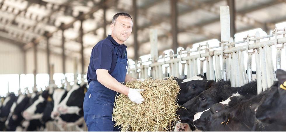 farmer-working-in-the-barn-481526353_5616x3744-1.jpeg