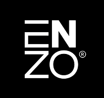 enzo architecten logo.png