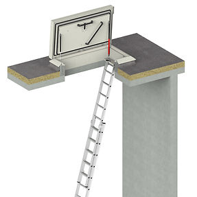 dakluik met opsteekladder.jpg