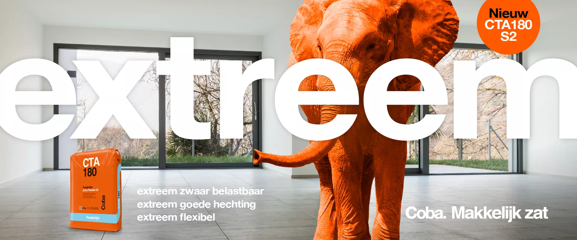 coba banner.webp