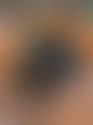 Pop Up: Stoney Clover Lane Experience