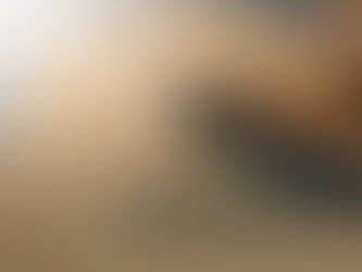 Tariff Exclusion: How Do I Benefit From Them As An Importer