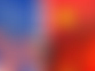 Surviving the Trade War - What to do in a State of Uncertainty?