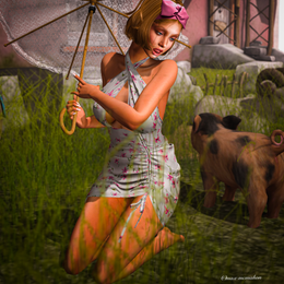 Shopia #163/21