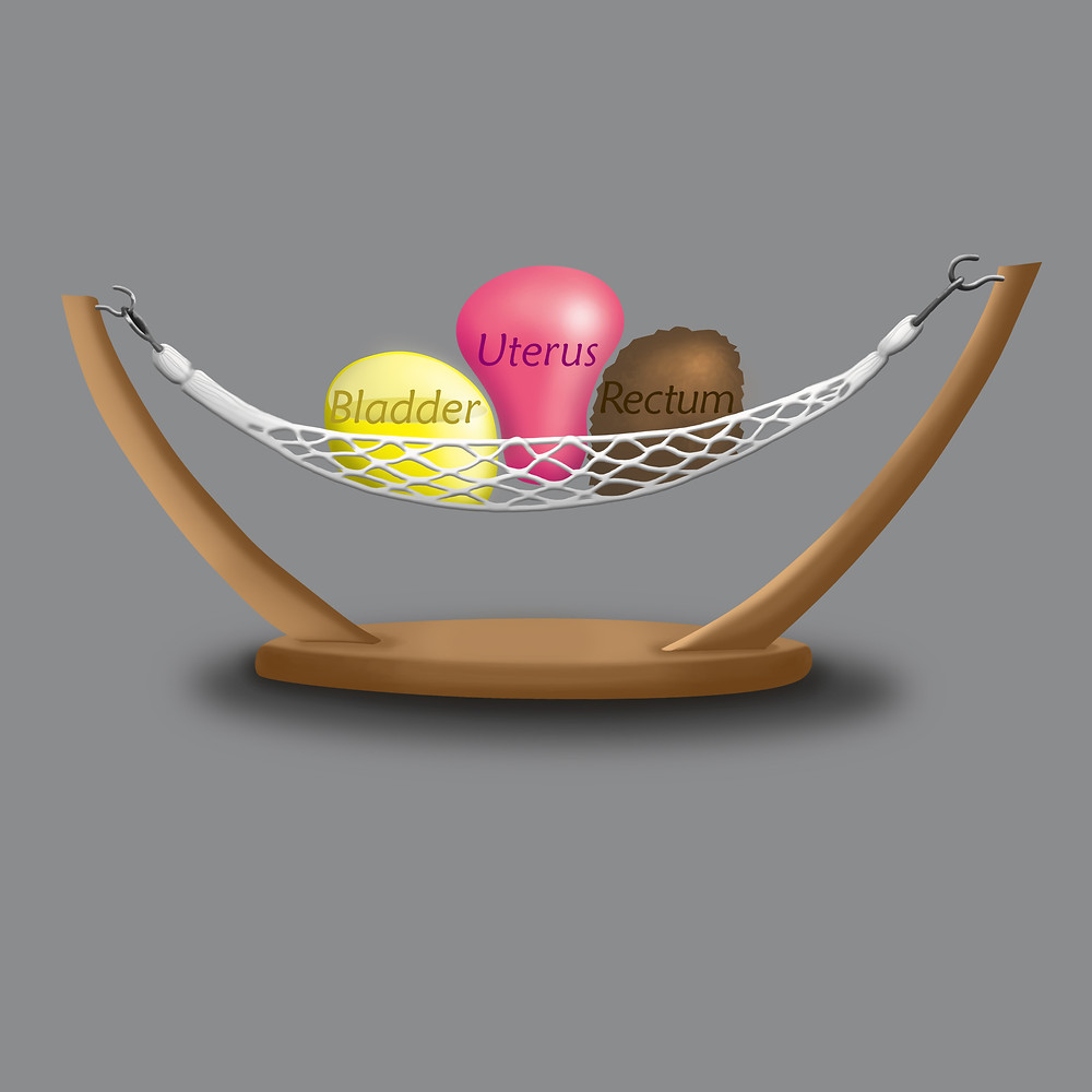 myPFM Hammock and Supported Pelvic Organs