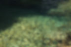 nachigou