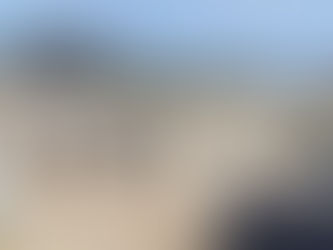 A Productive Week at Great Island Cabin Camp: Volunteers Make Major Improvements