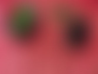 Fairwater Day Centre – Painting Clay Pots