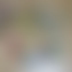 11月スケジュール+増枠しました