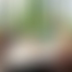 お受験対策クラス