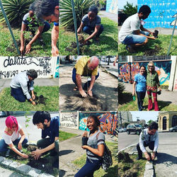 22195801_2230176790330599_77013