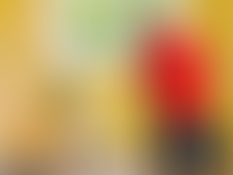 🧼 Pulizia in casa: quando la posa non lascia tracce – FINDOOR Mantova e Verona