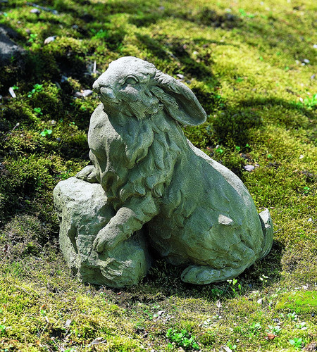Rabbit on a Rock