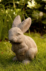 Rabbit - Ears Up