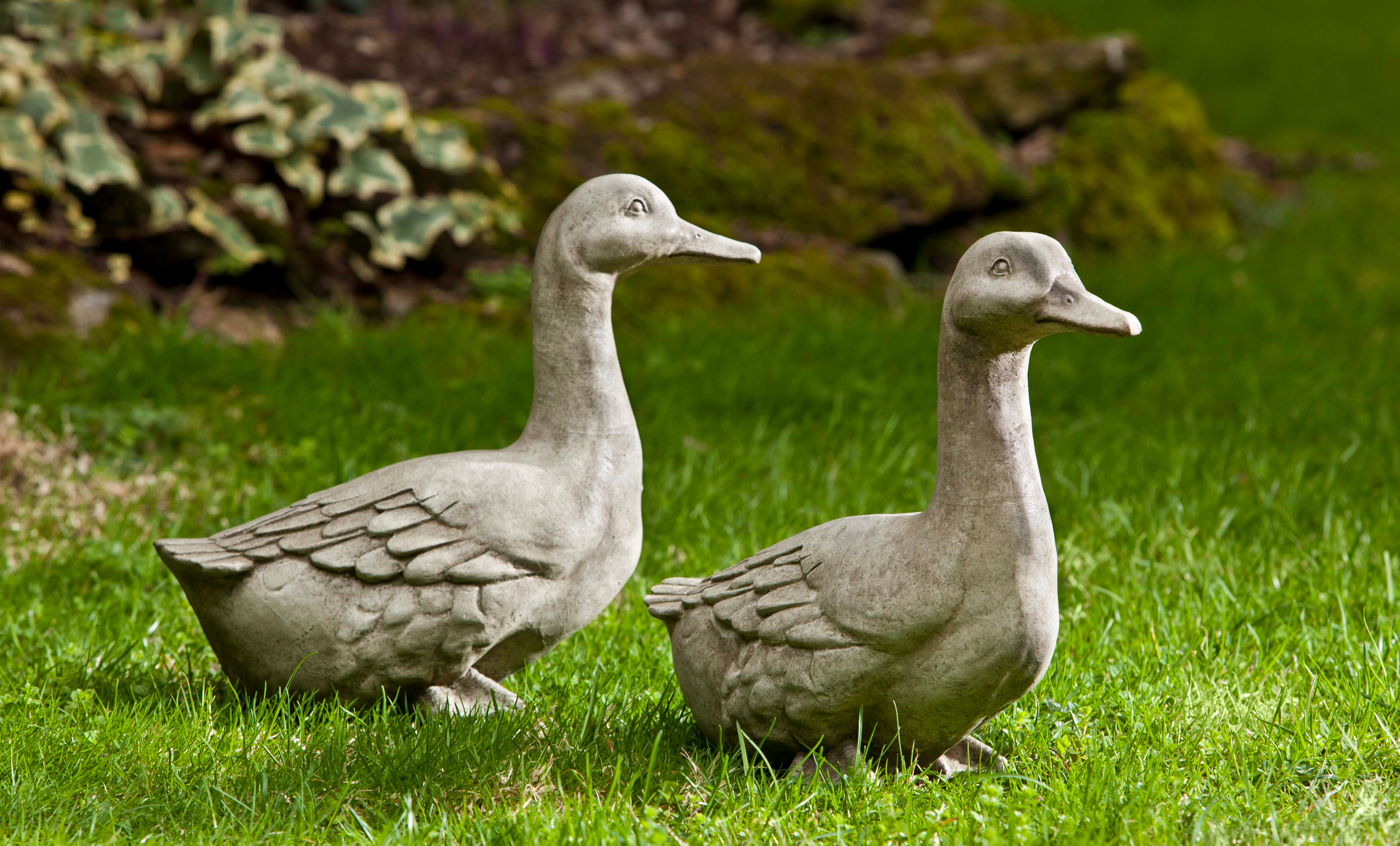 Quackers