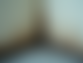 Affordable Mold Removal Cost Options