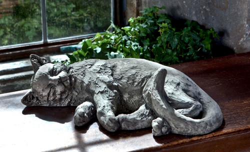 Dreaming Kitty