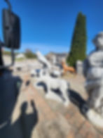 20250428_100441