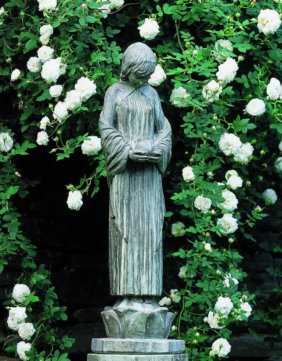 Wood Nymph