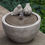 Thumbnail: M-Series Bird Fountain
