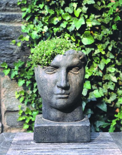 Aurelius Planter