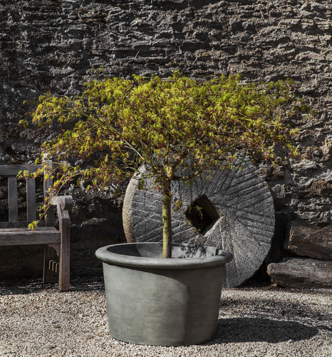Palo Alto Low Planter