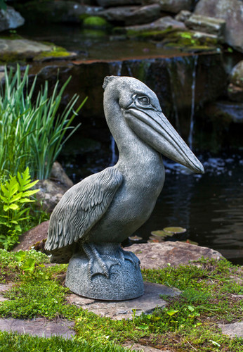 Pelican