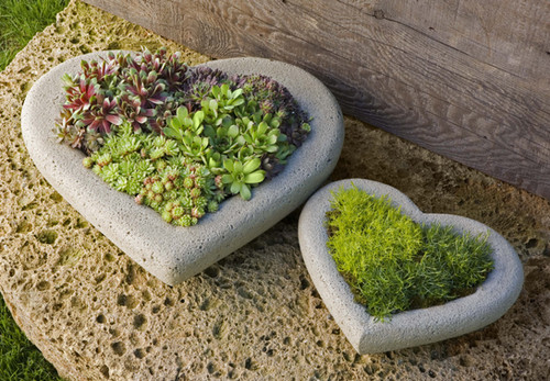 Heart Planter, Small