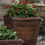 Thumbnail: Medium Vendange Planter