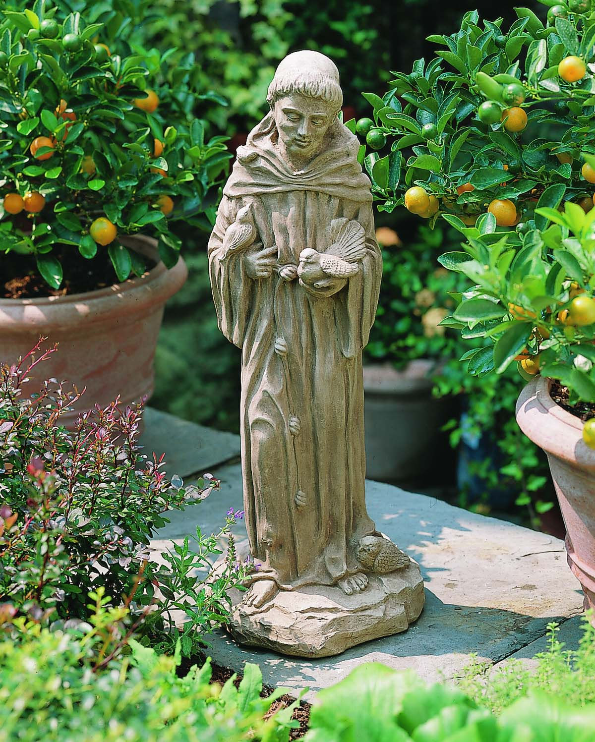 25" St. Francis