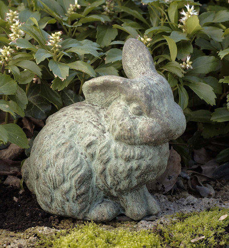 Rabbit w - 1 Ear Up