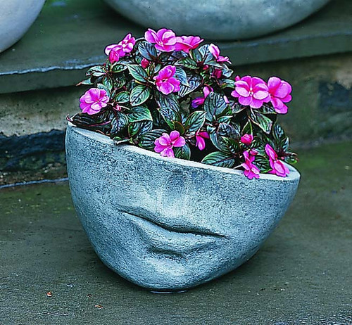 Faccia Planter, Small