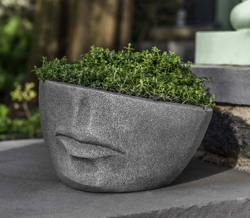 Faccia Planter, Extra Small