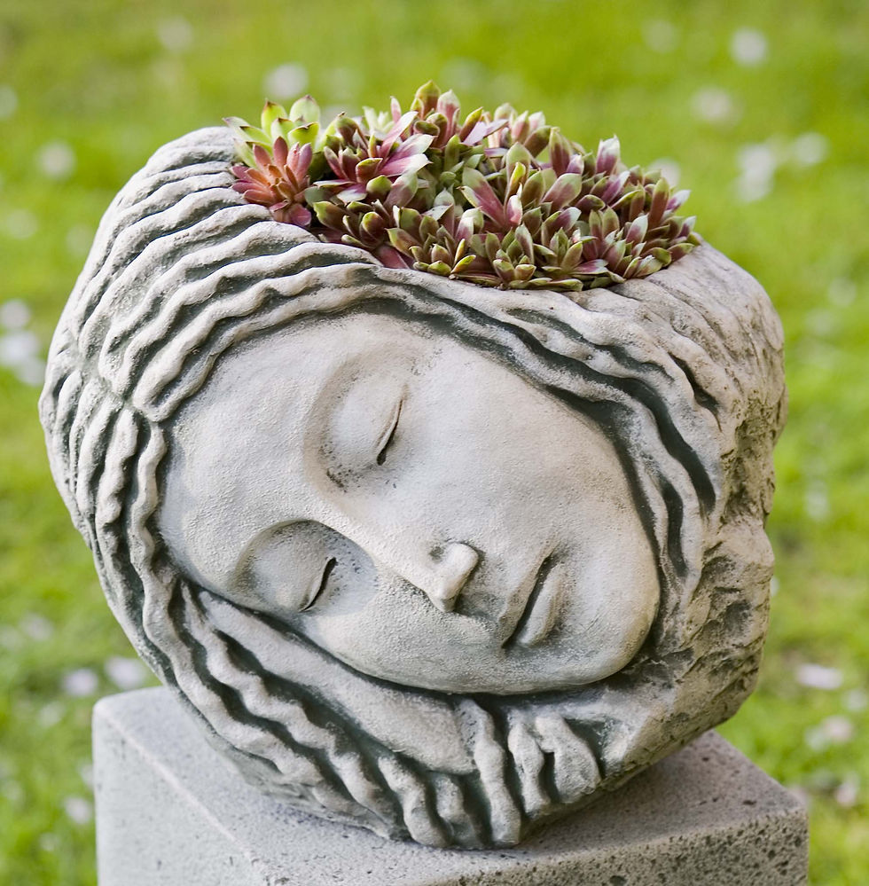 Sleeping Maiden Planter