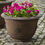 Thumbnail: Brenta Planter Medium