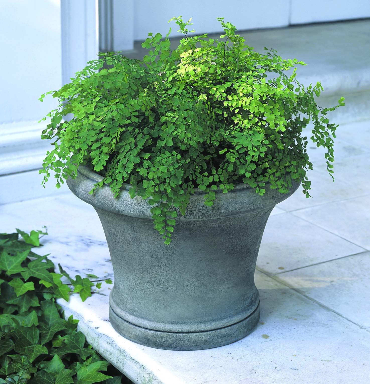 Westport Planter