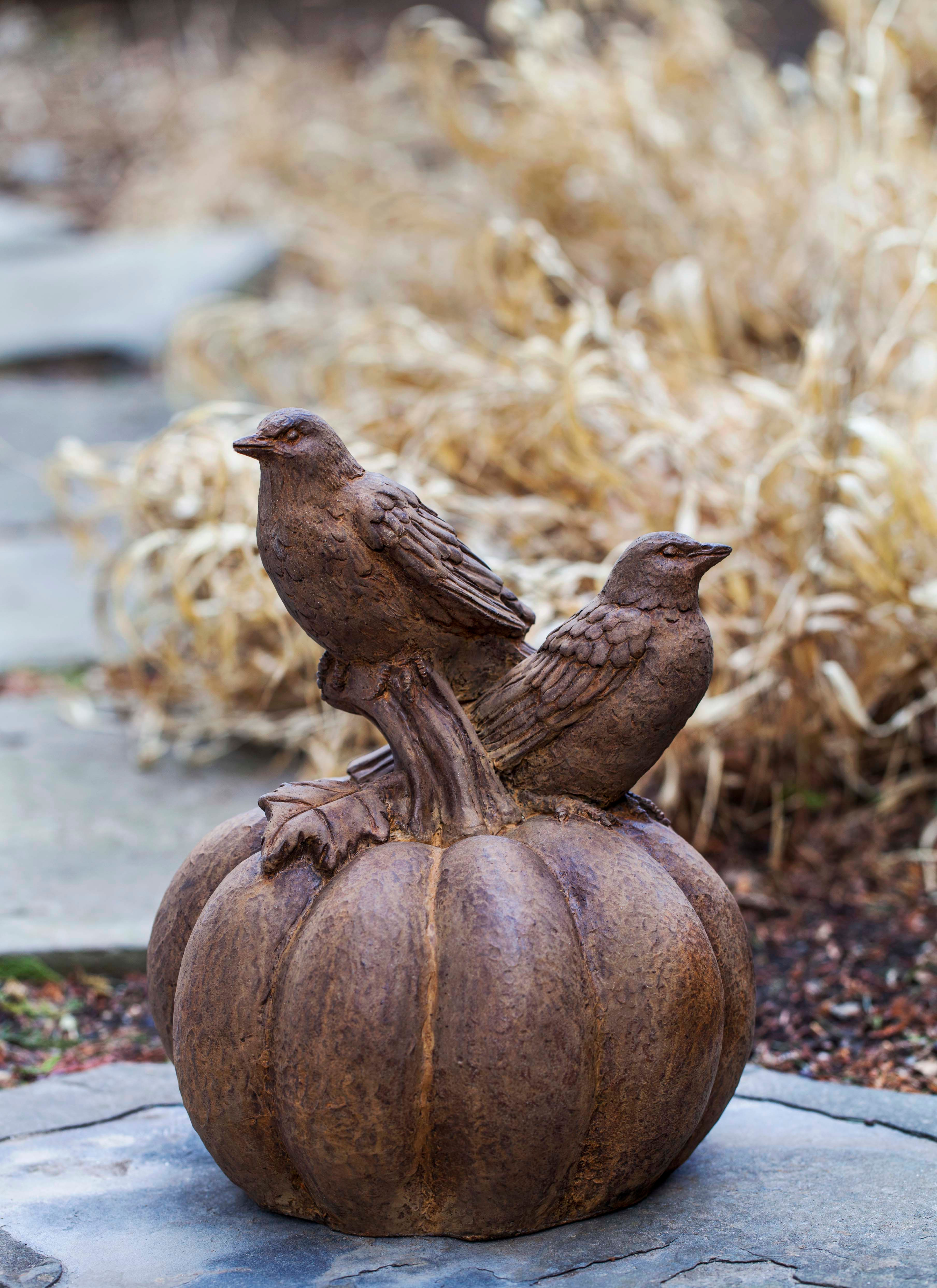 Birds on Pumpkin