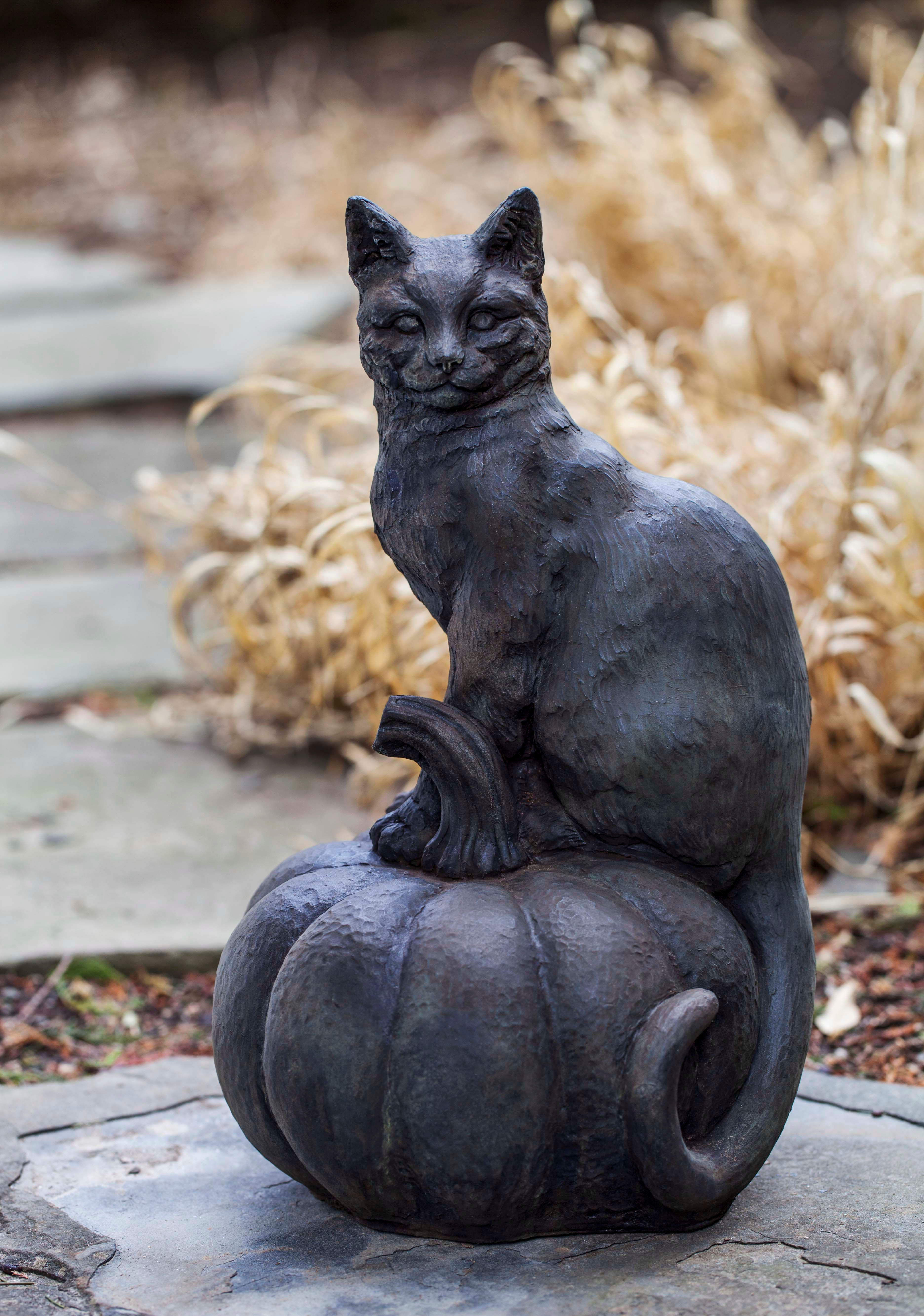 Cat on Pumpkin