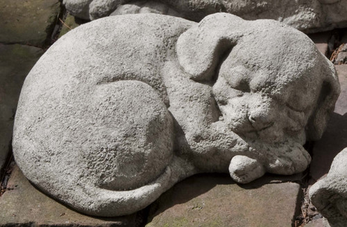 Curled Dog, Small